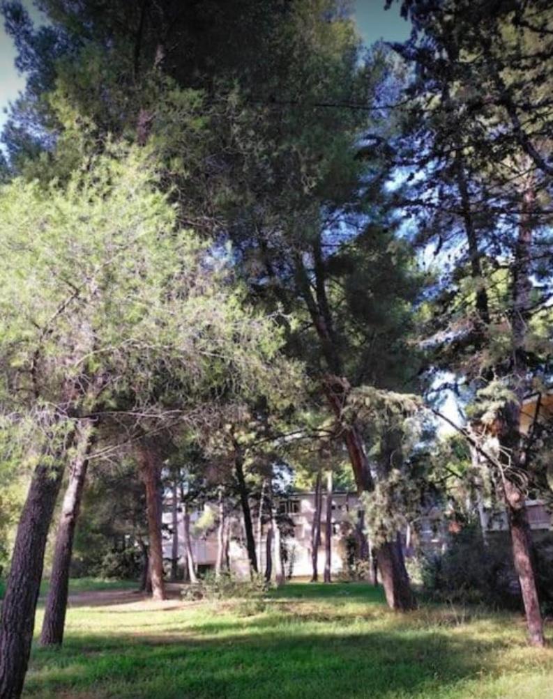 Calanques Appartement *