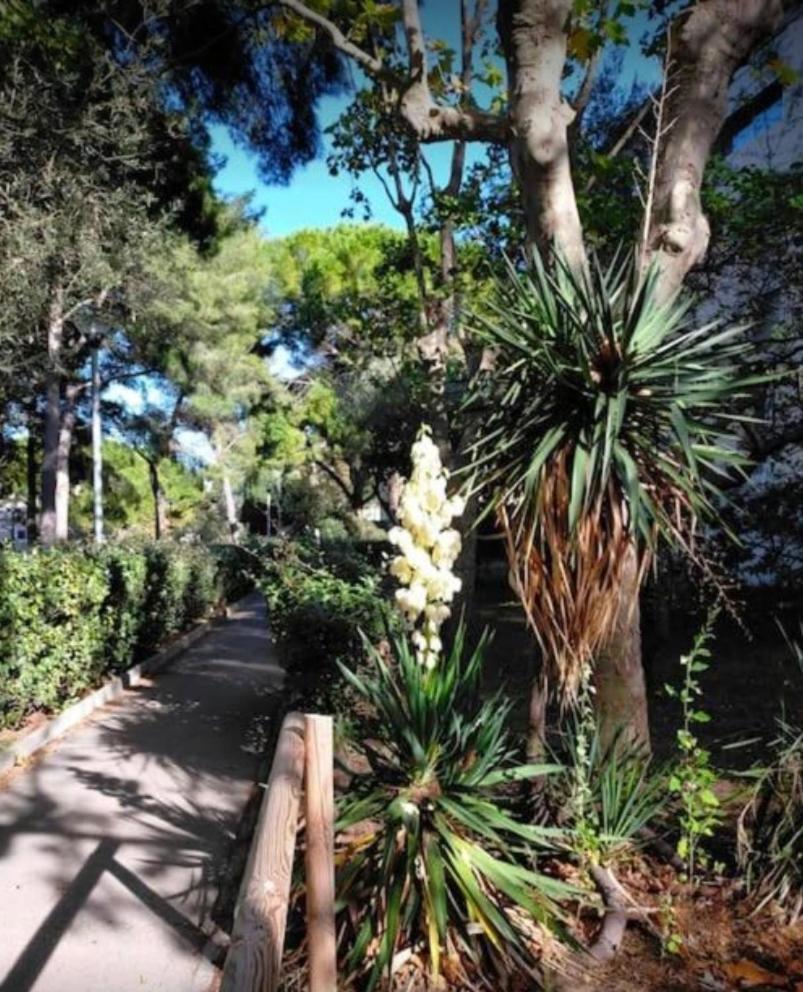 Appartement Calanques